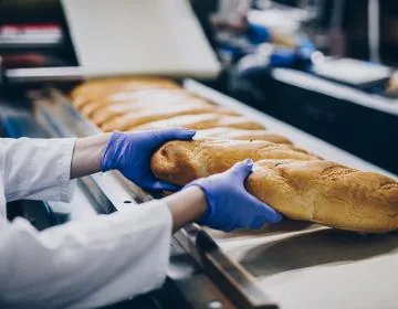 Food and Beverage Industry